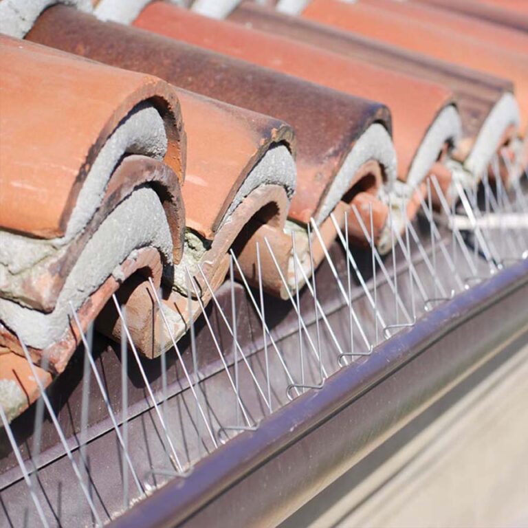 Bird Deterrent Pigeon Polycote UK