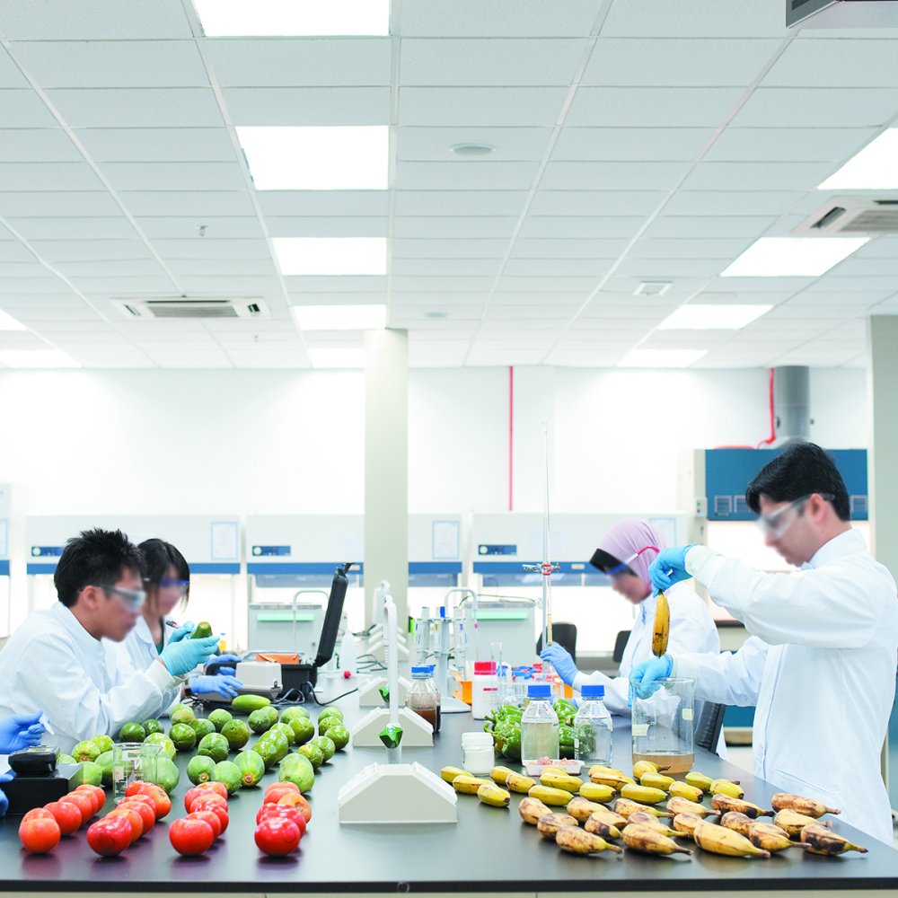 Hyglaze Anti-Bacterial Coating Polycote