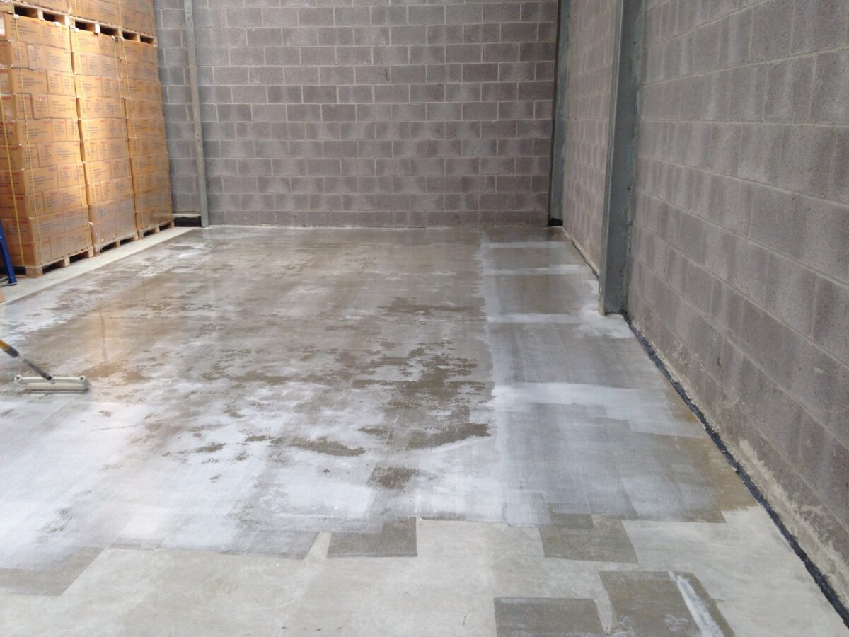 WD Primer - Image 3