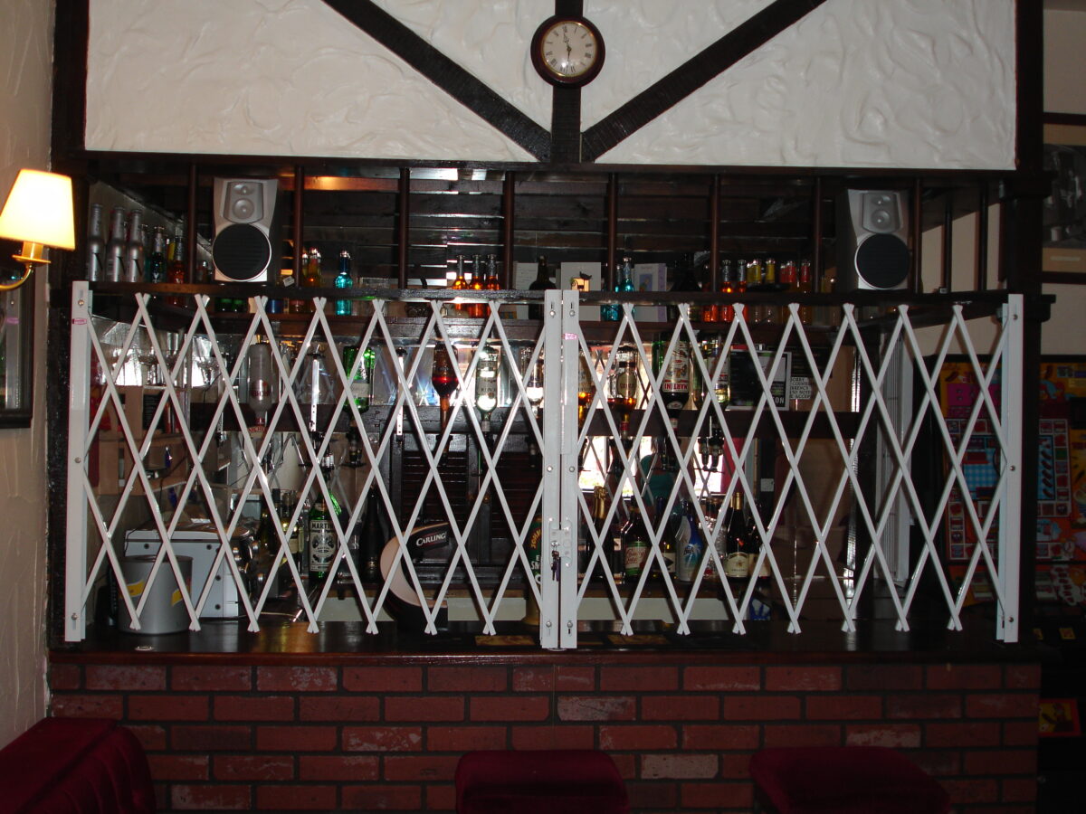 Securigate Std (Gate Only) - Image 5