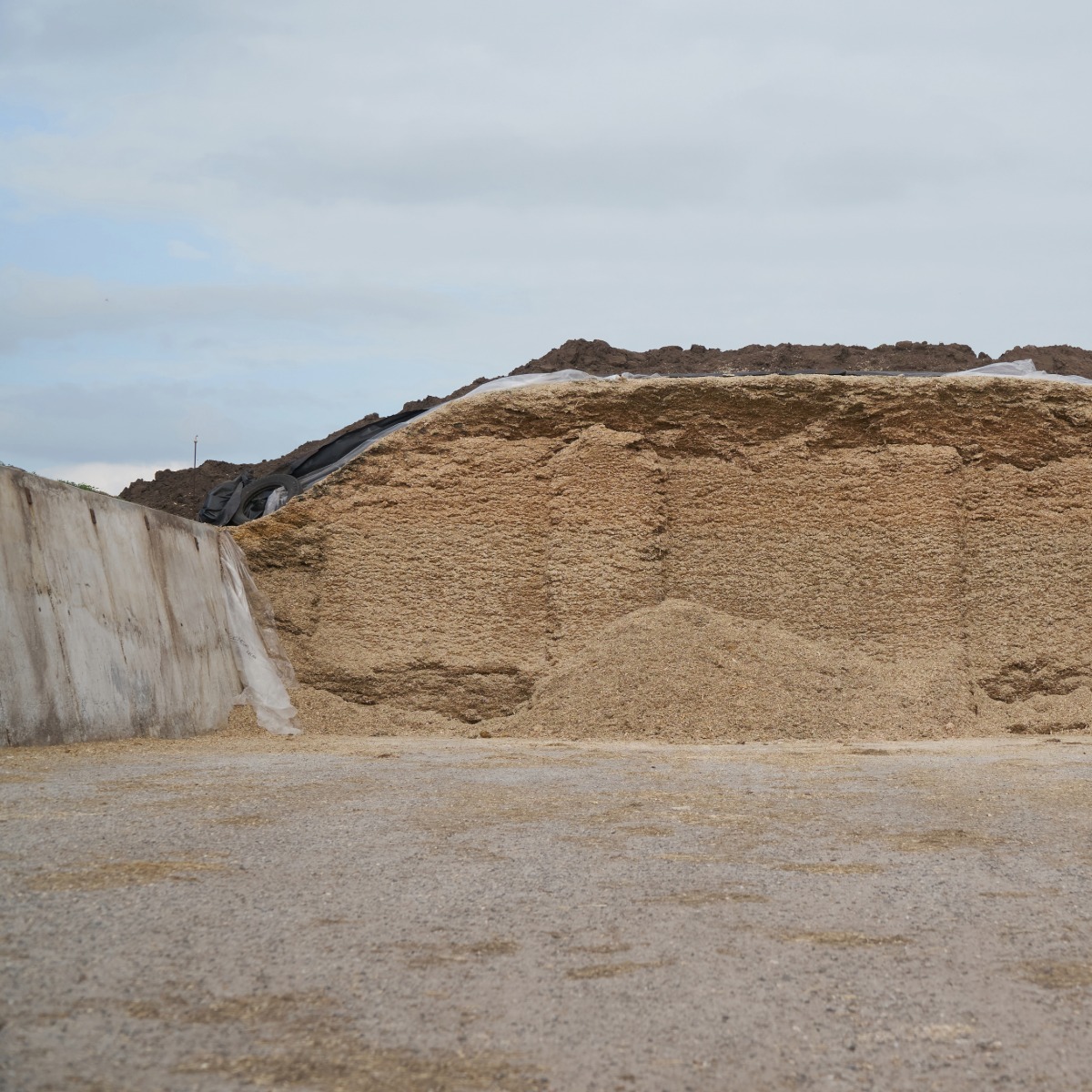 Farm silage clamp